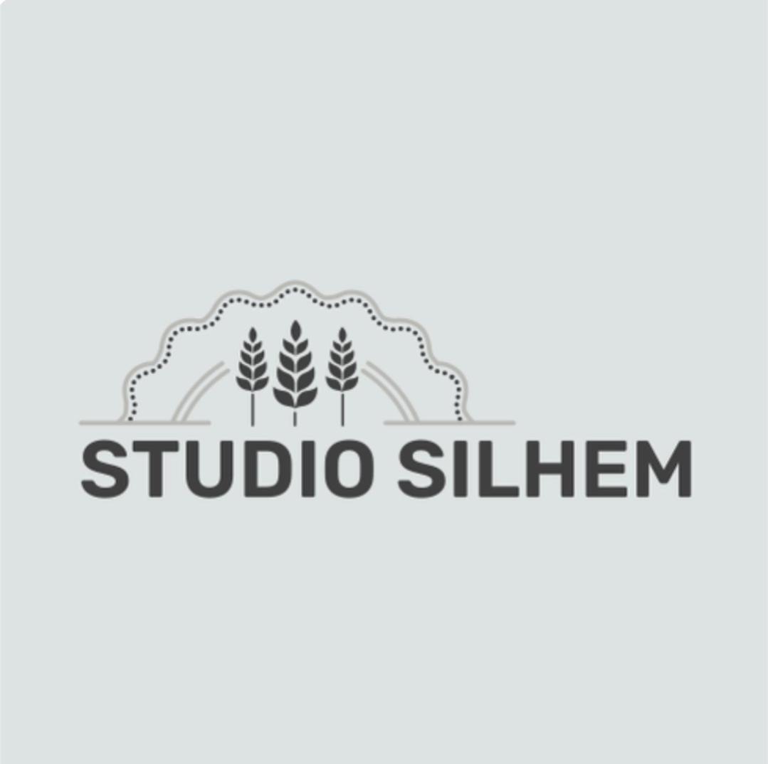 Studio Silhem Saint-Germain-les-Belles エクステリア 写真